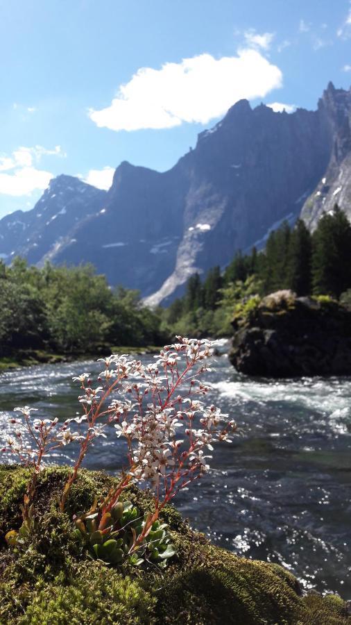 Trollveggen Camping Andalsnes Luaran gambar